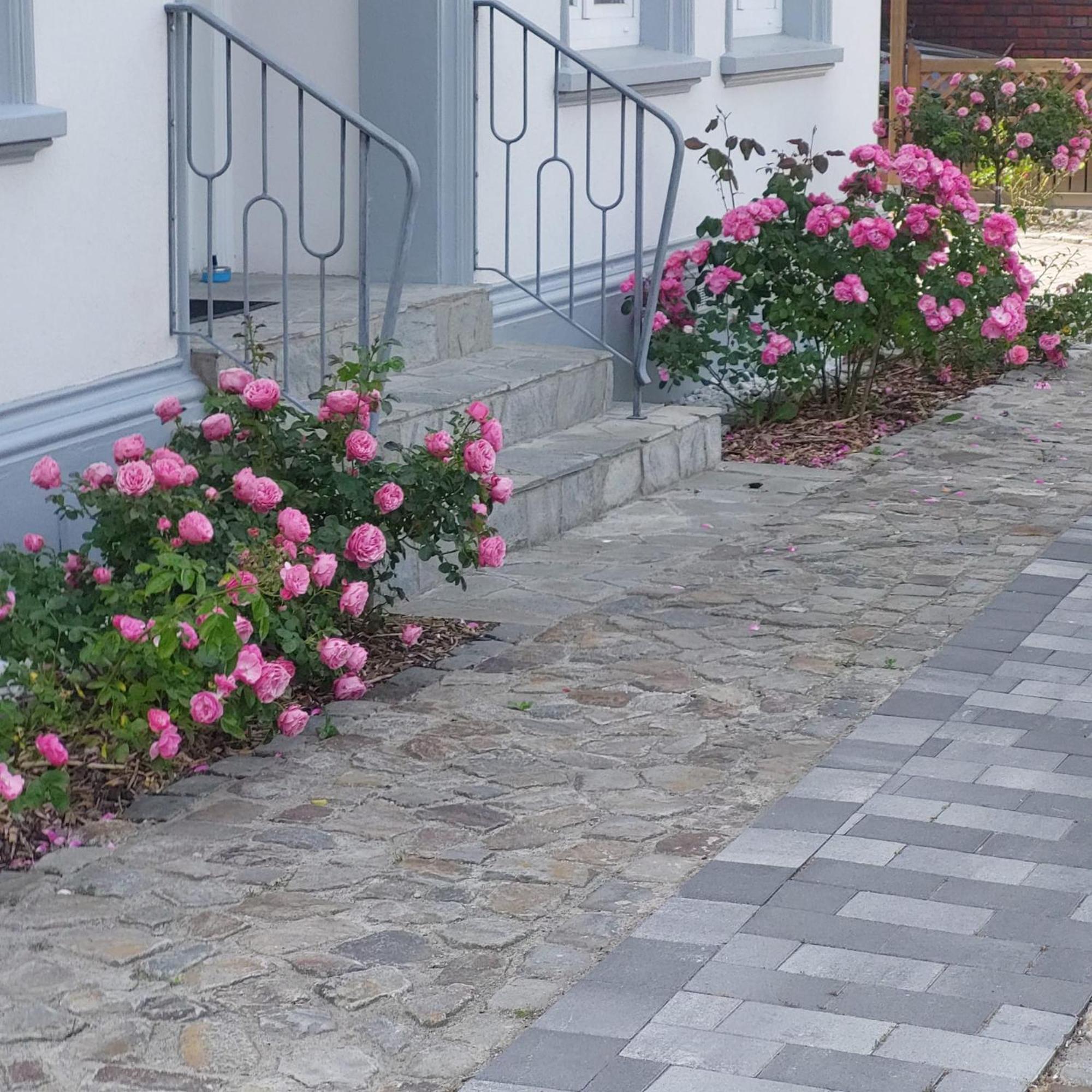 Privatunterkunft Im Erdgeschoss Nordenham Exterior foto